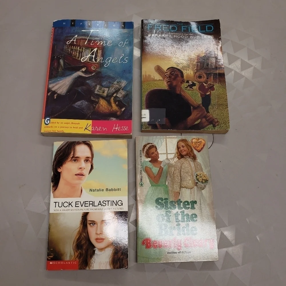 kids/ preteen chapter book bundle of 4